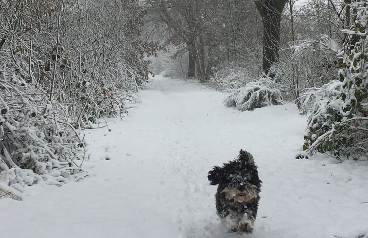 Natuurhuisje in Volkel