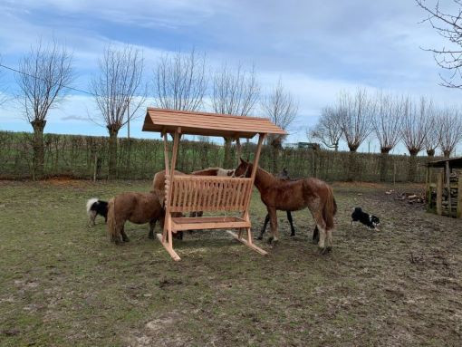 Hooiruif paarden | Duurzaam Douglas hout Bouwpakket