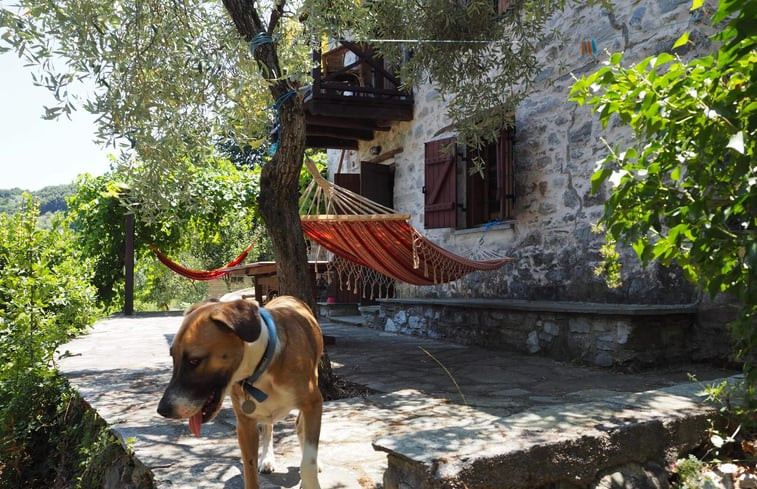 Natuurhuisje in Mouresi, Pelion