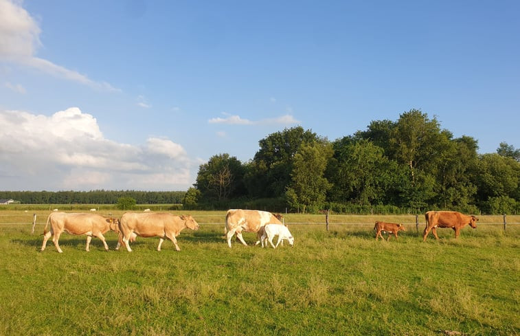 Natuurhuisje in Grolloo