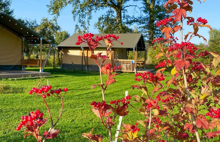 Natuurhuisje in Winterswijk