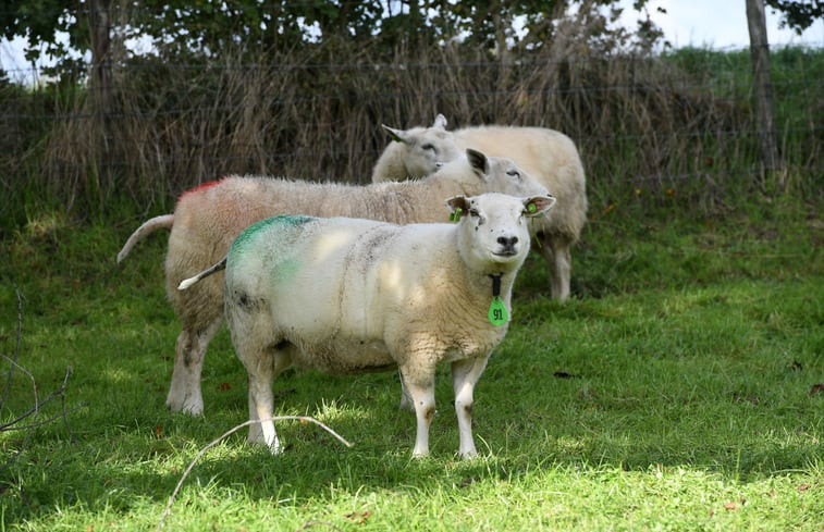 Natuurhuisje in Klimmen