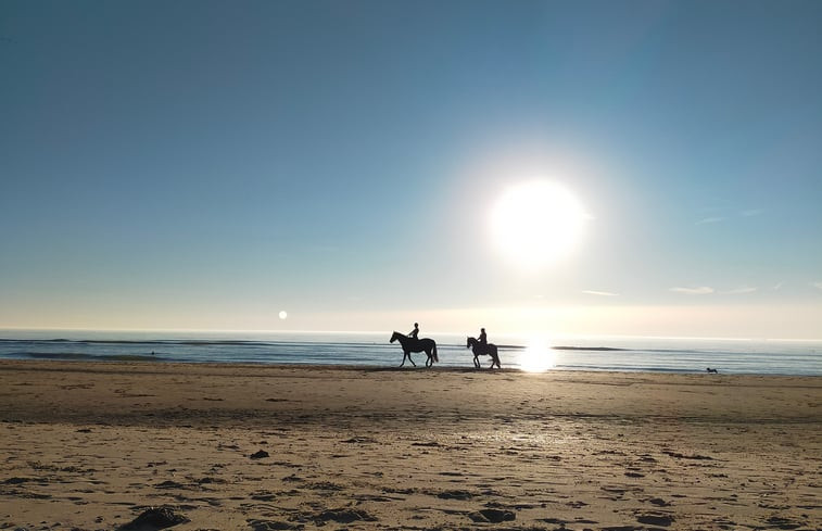 Natuurhuisje in Breezand