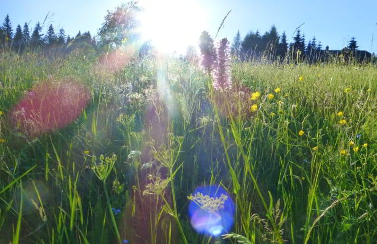 Natuurhuisje in Eibenstock