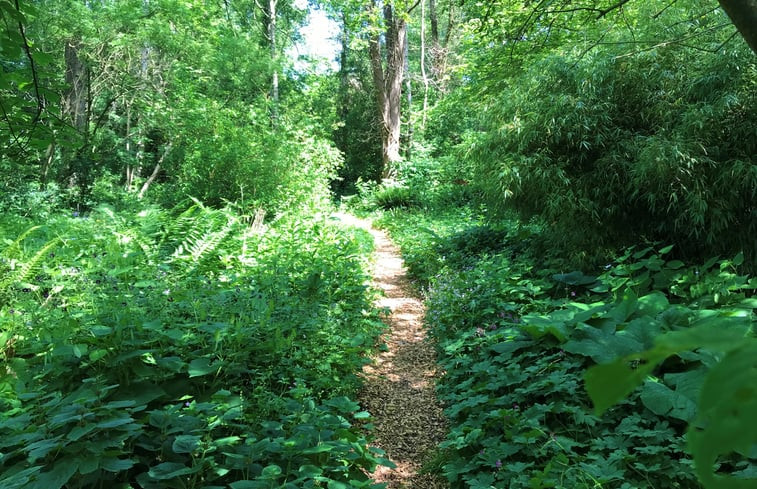 Natuurhuisje in Een-West