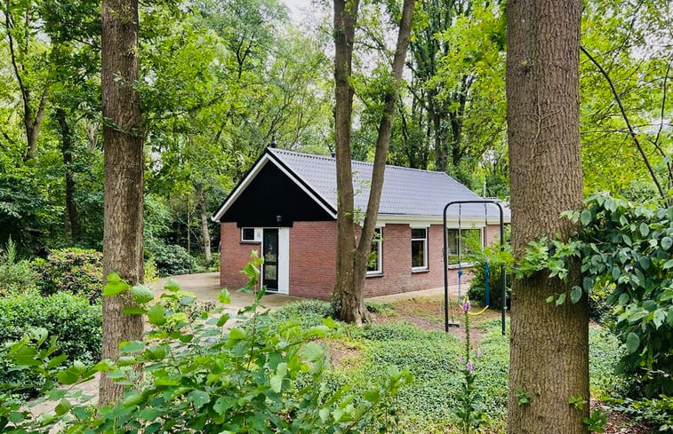 Natuurhuisje in Ruinen