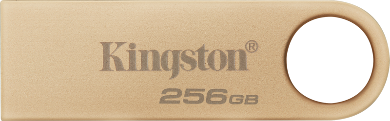 Kingston DataTraveler SE9 G3 256GB