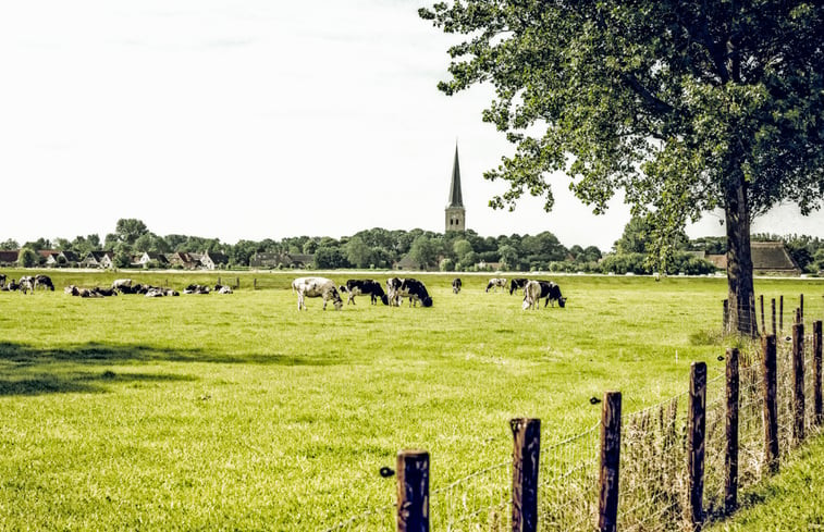 Natuurhuisje in Klooster Lidlum