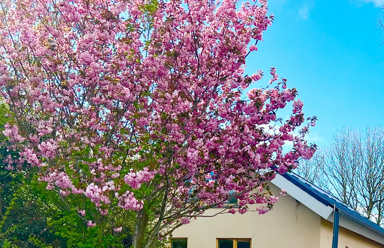 Natuurhuisje in Den Burg Texel