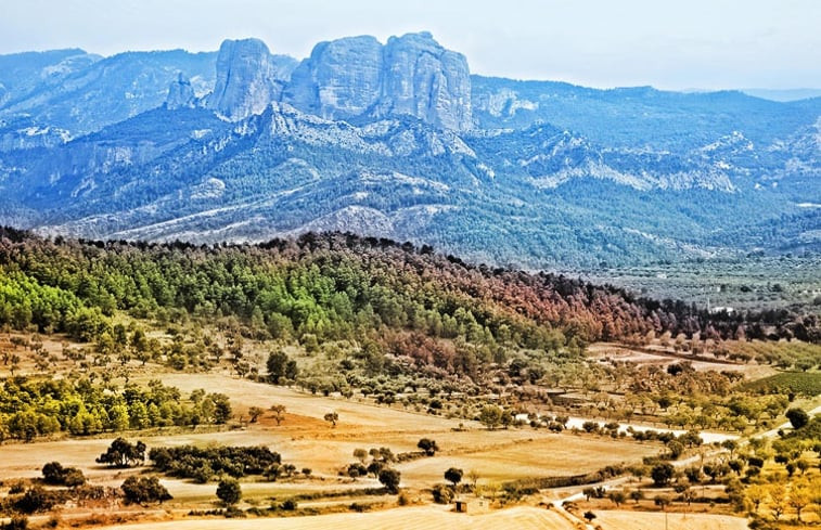 Natuurhuisje in El Perelló