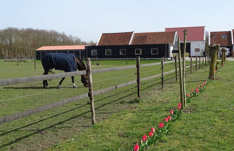 Natuurhuisje in Noordgouwe