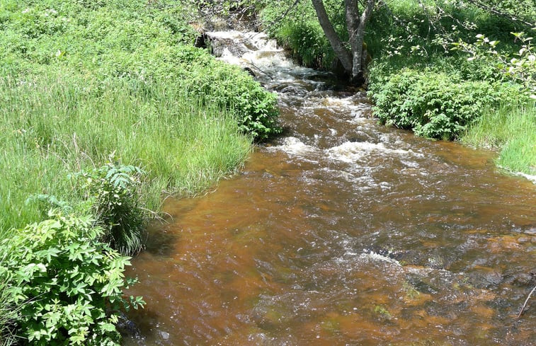 Natuurhuisje in Sain Bonnet le Chastel