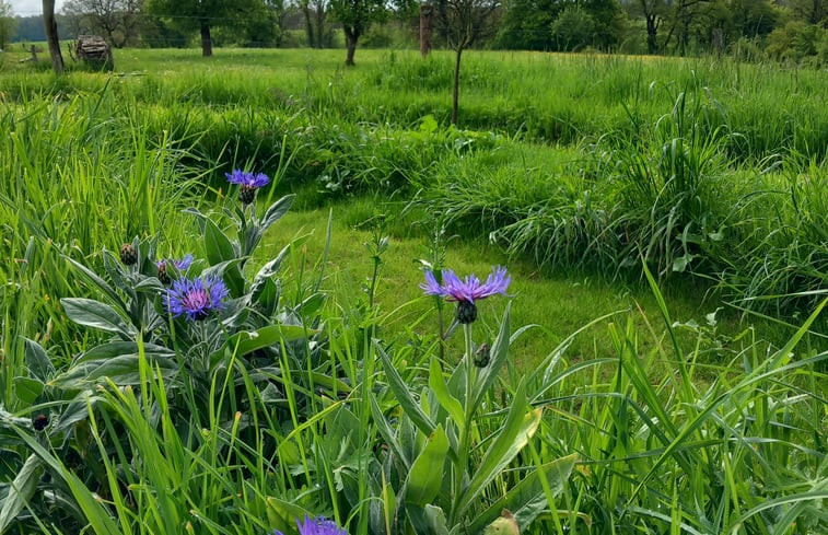 Natuurhuisje in Montgon