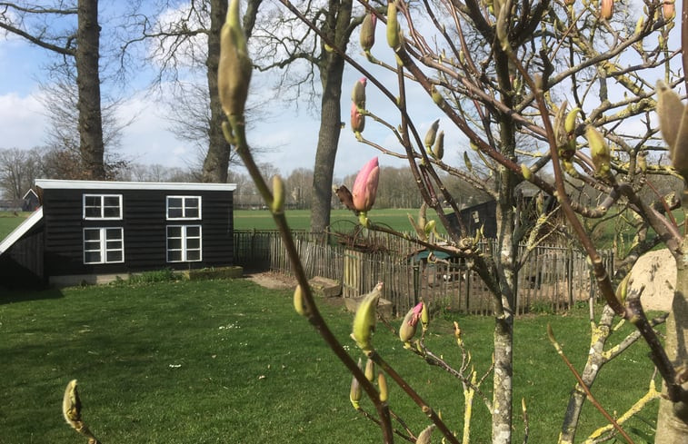 Natuurhuisje in Aalten