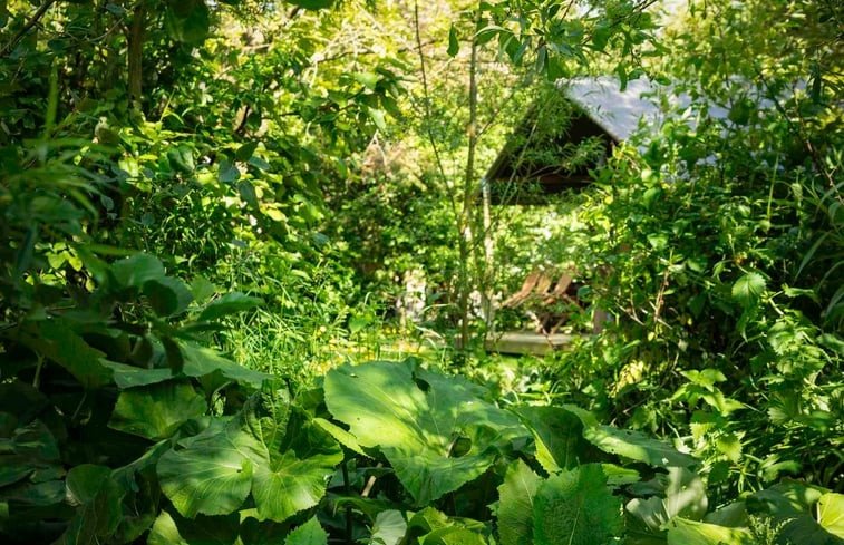 Natuurhuisje in Graauw