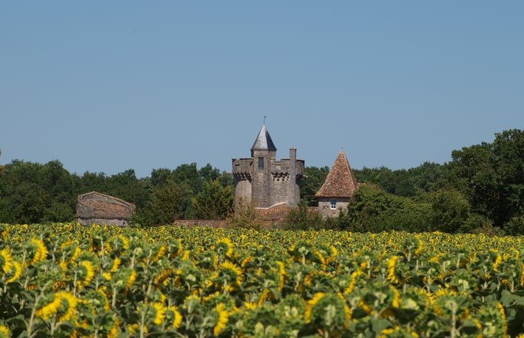 Natuurhuisje in Villejoubert