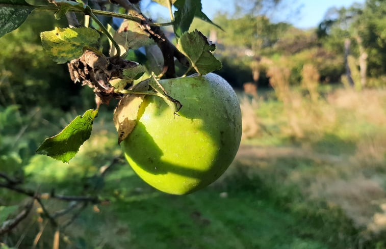 Natuurhuisje in Malden