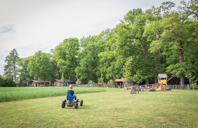 Natuurhuisje in Buurse