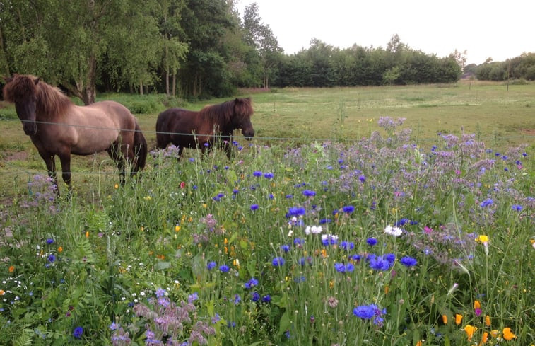 Natuurhuisje in Zuidlaarderveen