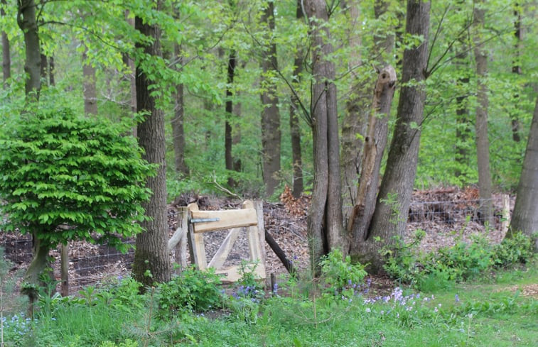 Natuurhuisje in Epe