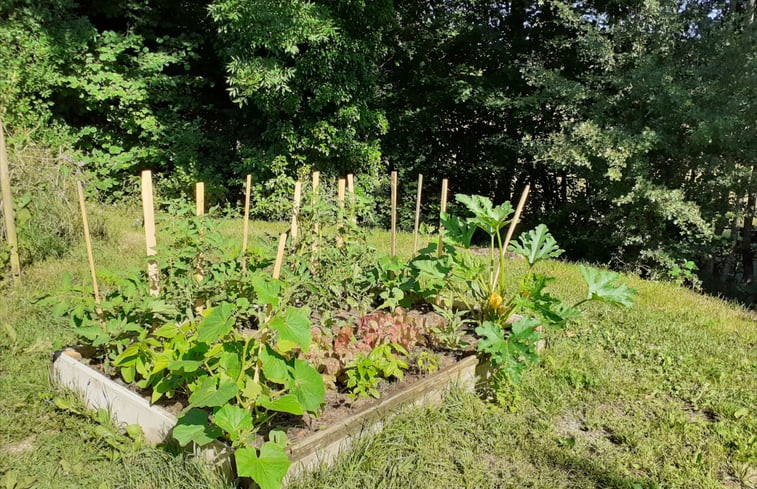 Natuurhuisje in Cussy en Morvan