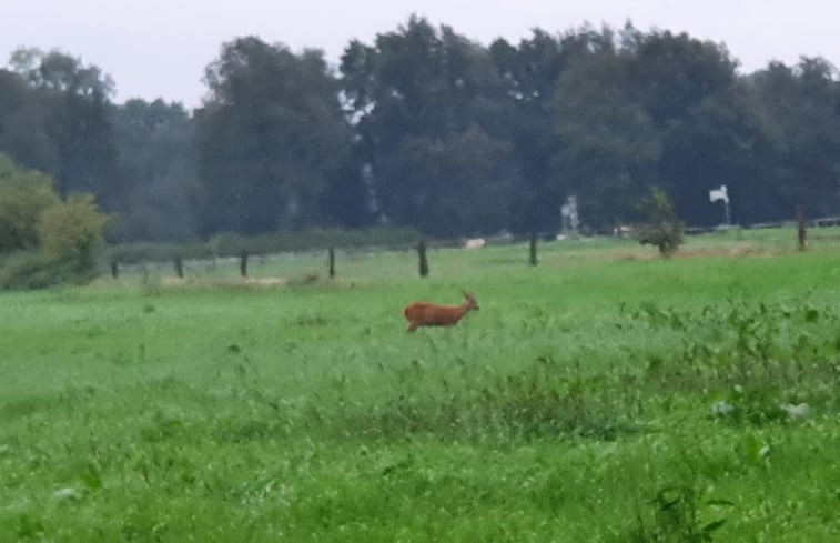 Natuurhuisje in Nutter