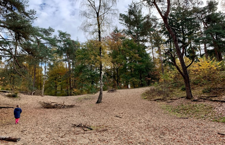 Natuurhuisje in Ommen