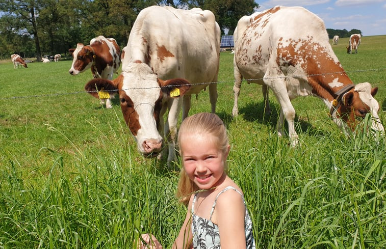 Natuurhuisje in Vragender