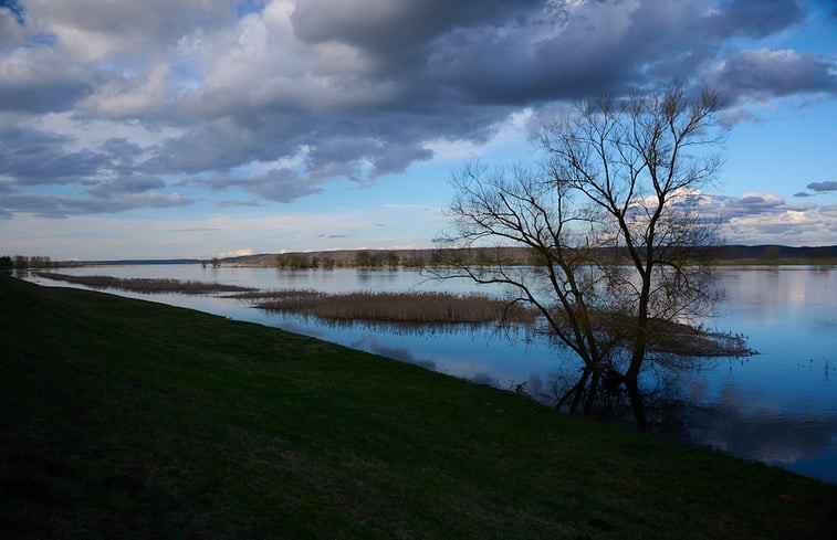 Natuurhuisje in Lunow Stolzenhagen