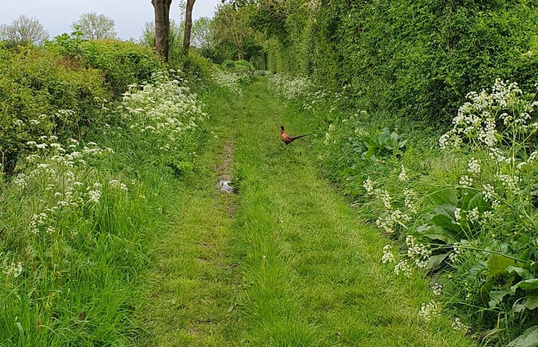 Natuurhuisje in Vortum Mullem