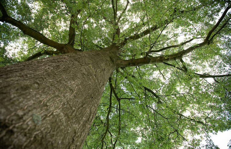 Natuurhuisje in Maldegem