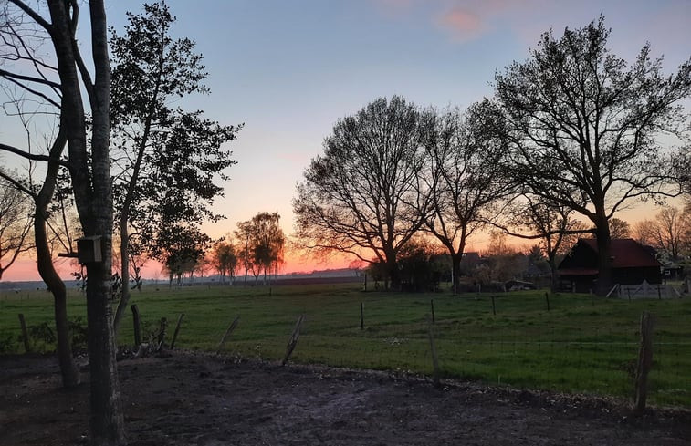 Natuurhuisje in Dwingeloo