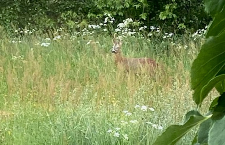 Natuurhuisje in Enschede