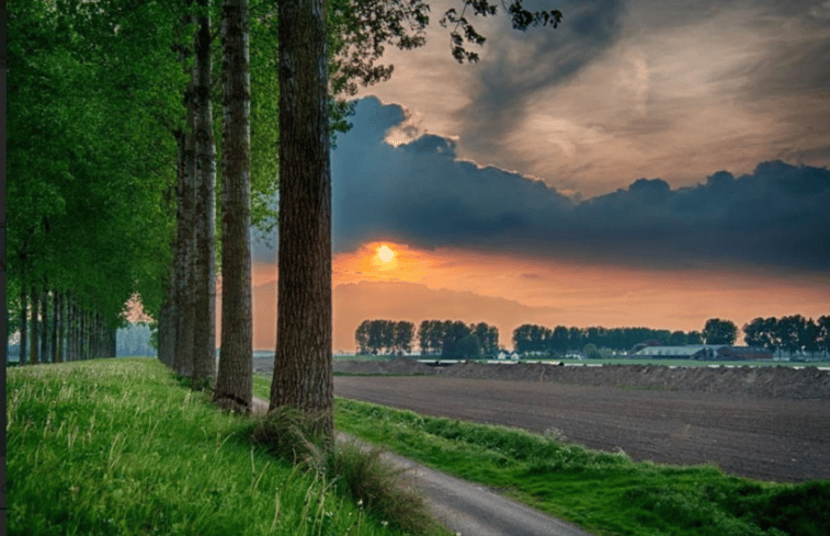 Natuurhuisje in Hulst ( Walsoorden)