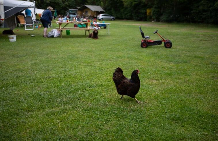 Natuurhuisje in Ellertshaar