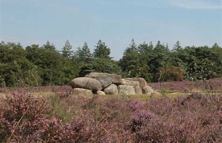 Natuurhuisje in Gasselte