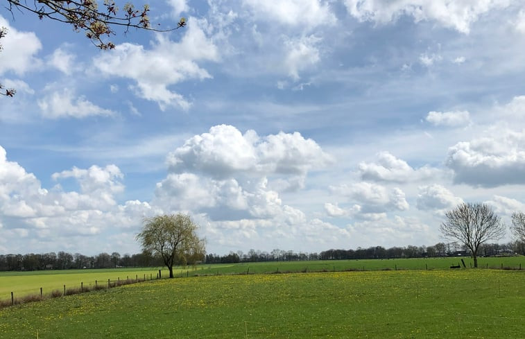 Natuurhuisje in Vinkenbuurt