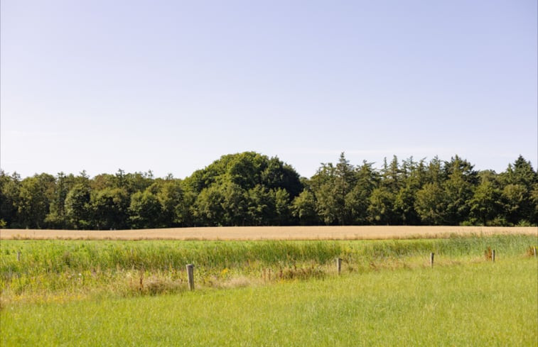 Natuurhuisje in Wesepe