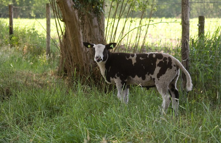 Natuurhuisje in Rossum