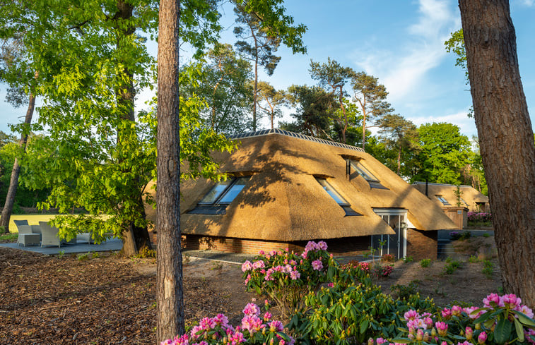 Natuurhuisje in Putten