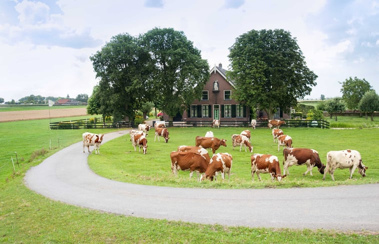 Natuurhuisje in Nieuwveen