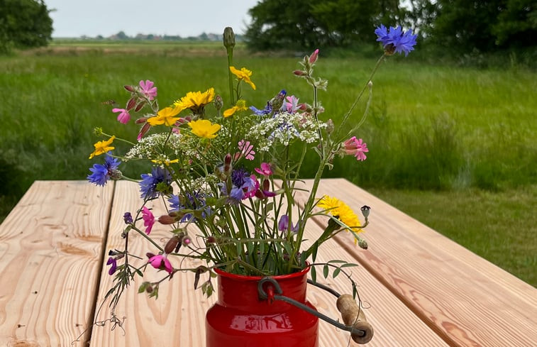 Natuurhuisje in Midsland Noord