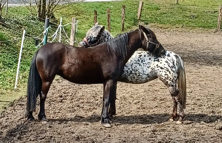 Natuurhuisje in Warmsen