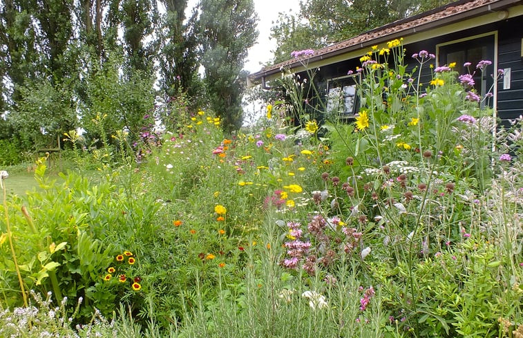 Natuurhuisje in Idsegahuizum (Makkum)