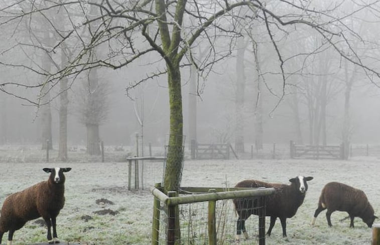 Natuurhuisje in Boschoord