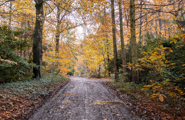 Natuurhuisje in Leuven Hageland