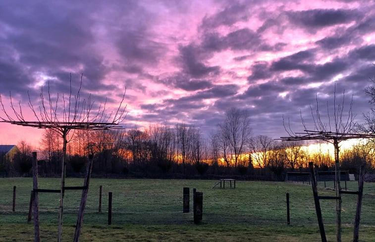 Natuurhuisje in Driewegen