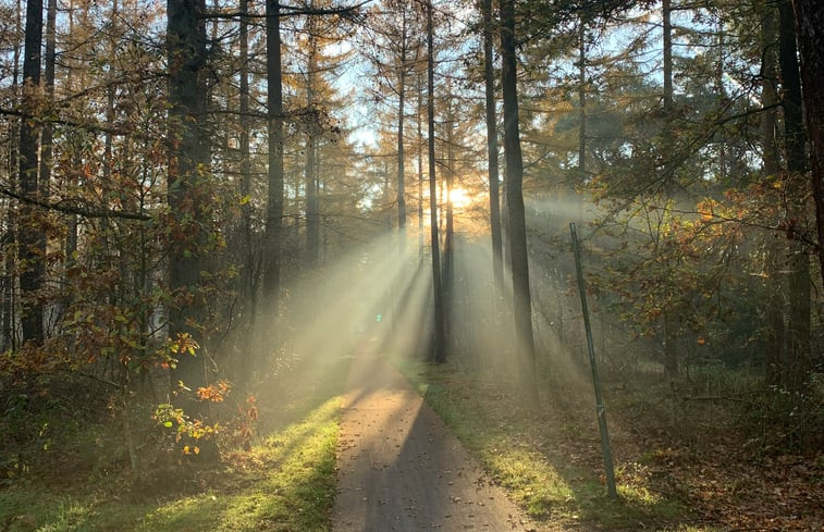 Natuurhuisje in Norg