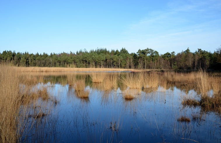 Natuurhuisje in Koekange