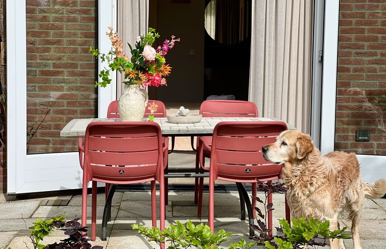 Natuurhuisje in Wissenkerke